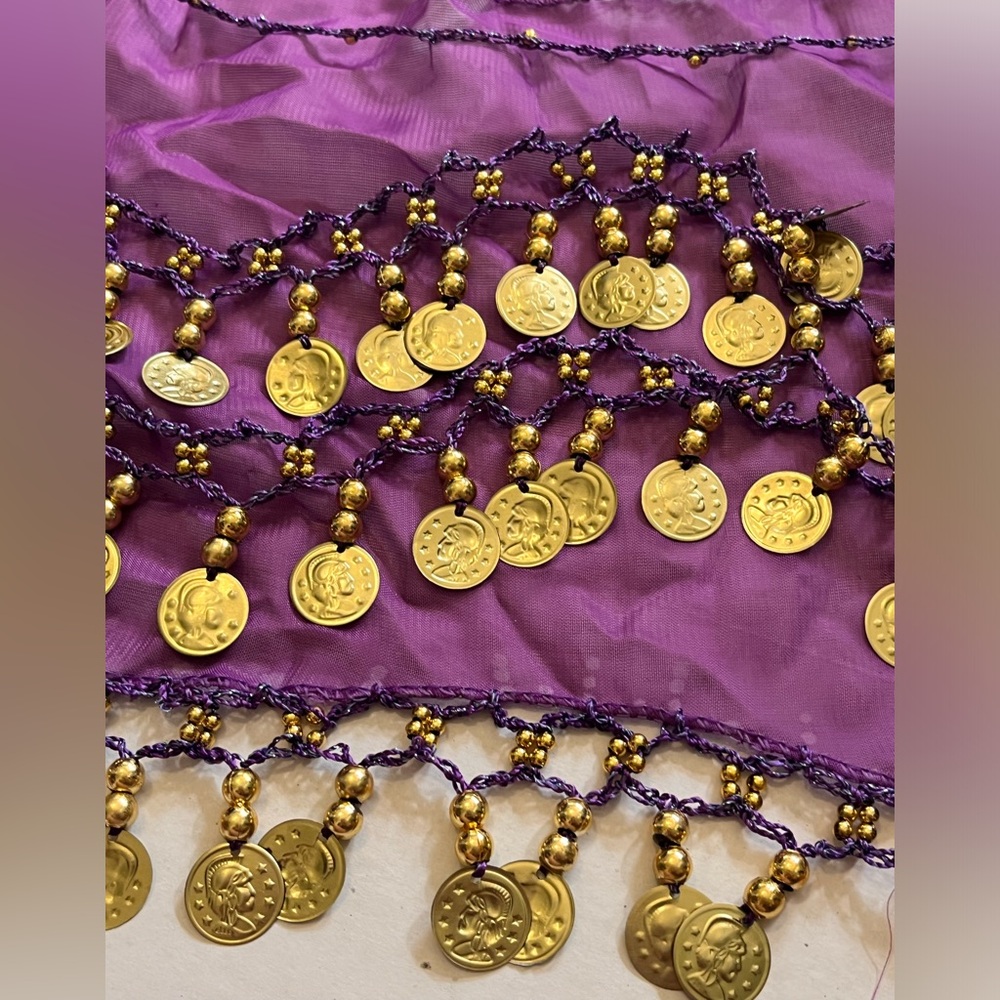 Belly dancer wrap with gold toned noise makers